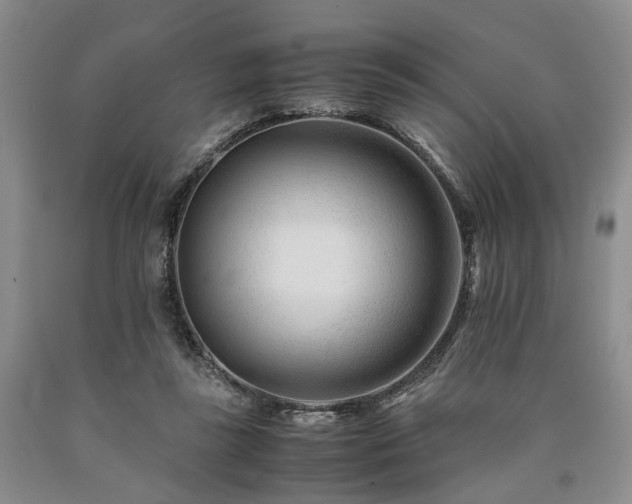X0000090880355200707271316