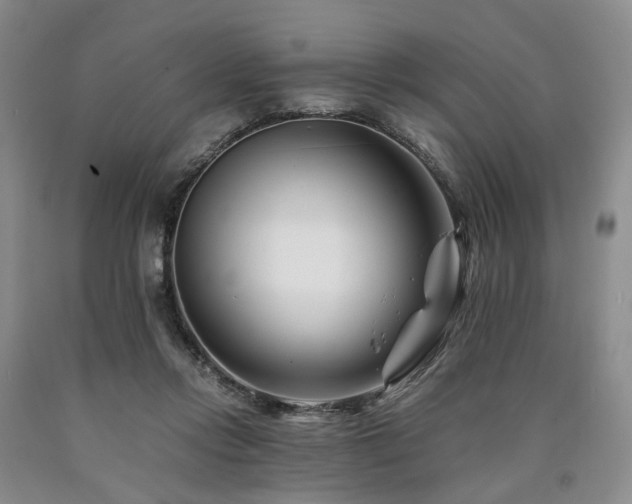 X0000090880358200707271316