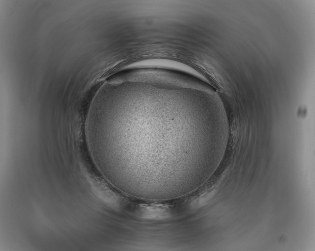 X0000090880359200707271316