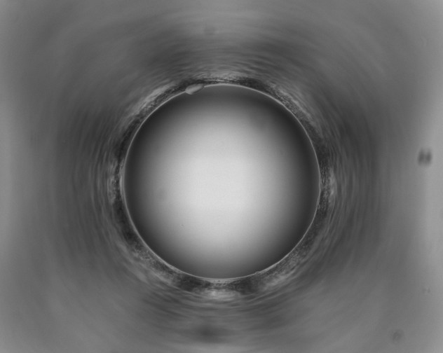 X0000090880360200707271316