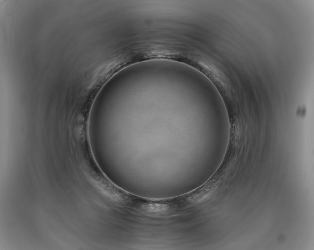X0000090880361200707271316
