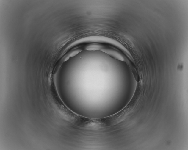 X0000090880364200707271316