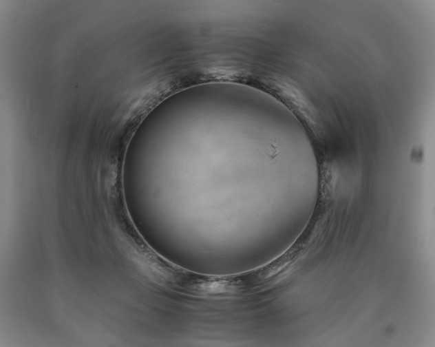 X0000090880365200707271316