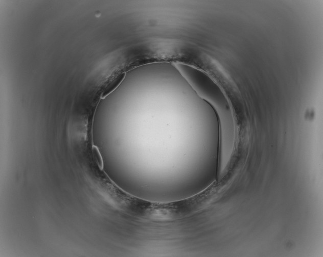 X0000090880368200707271316