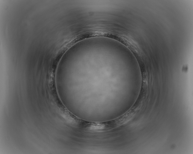 X0000090880369200707271316