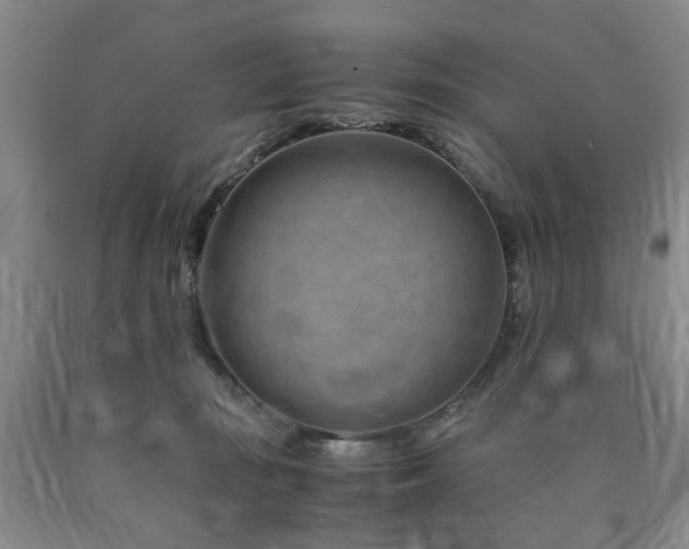 X0000090880371200707271316