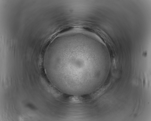 X0000090880372200707271316