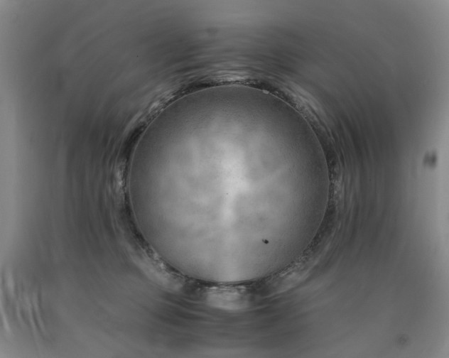 X0000090880373200707271316
