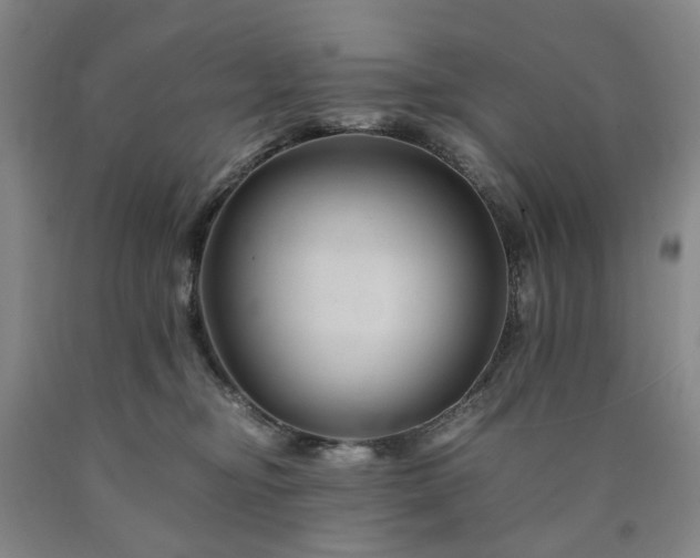 X0000090880374200707271316