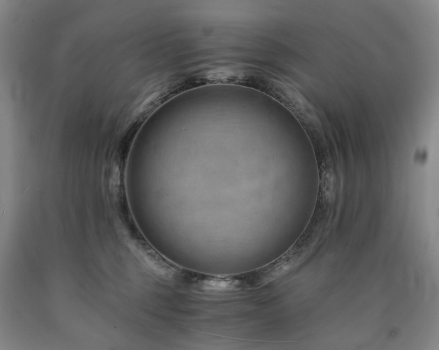 X0000090880375200707271316
