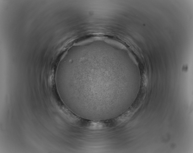 X0000090880376200707271316