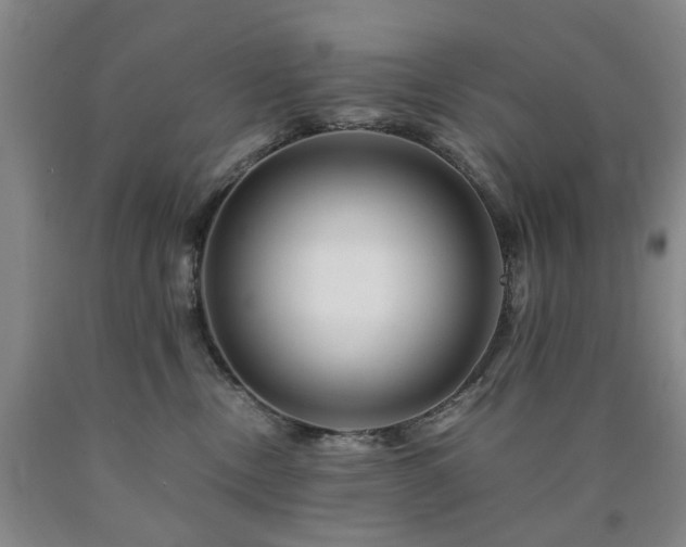 X0000090880378200707271316