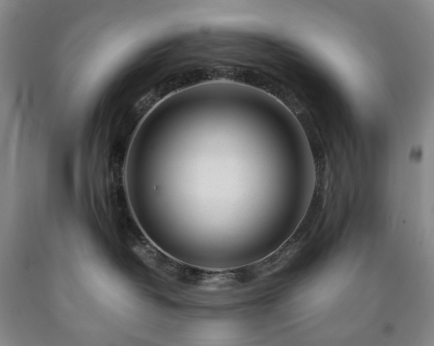 X0000090880382200707271316