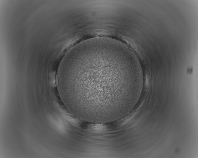 X0000090880383200707271316