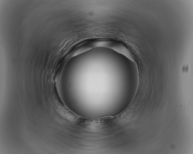 X0000090880384200707271316
