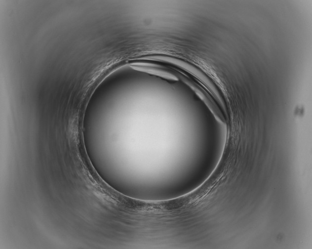 X0000090880386200707271316