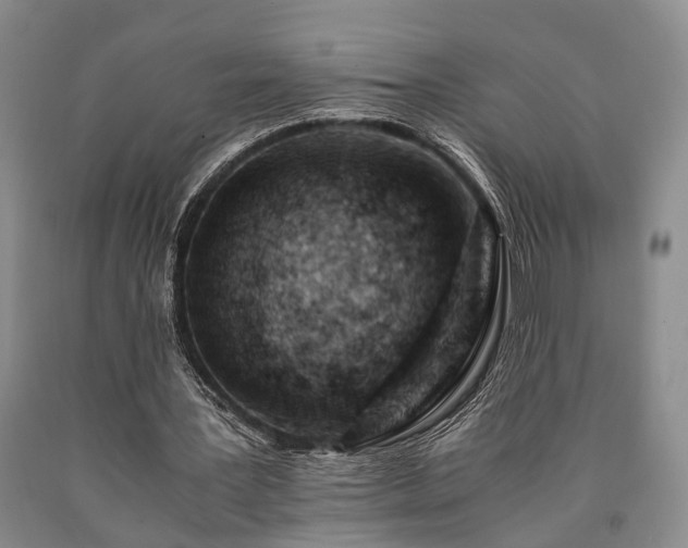 X0000090880387200707271316