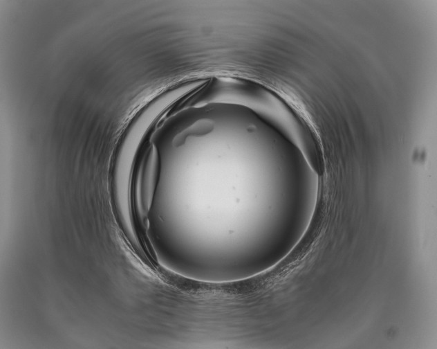 X0000090880389200707271316