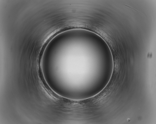 X0000090880390200707271316