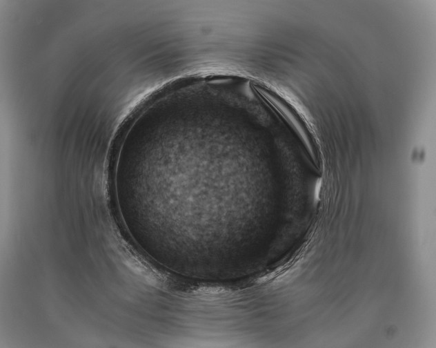 X0000090880391200707271316
