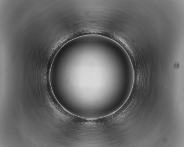 X0000090880394200707271316