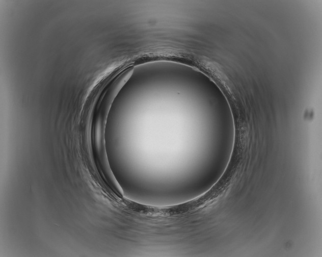 X0000090880395200707271316