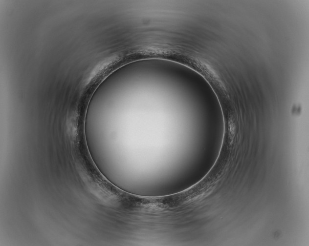 X0000090880396200707271316