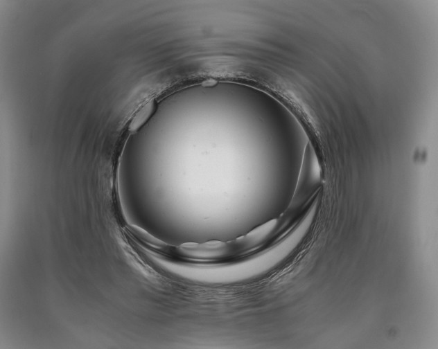 X0000090880397200707271316