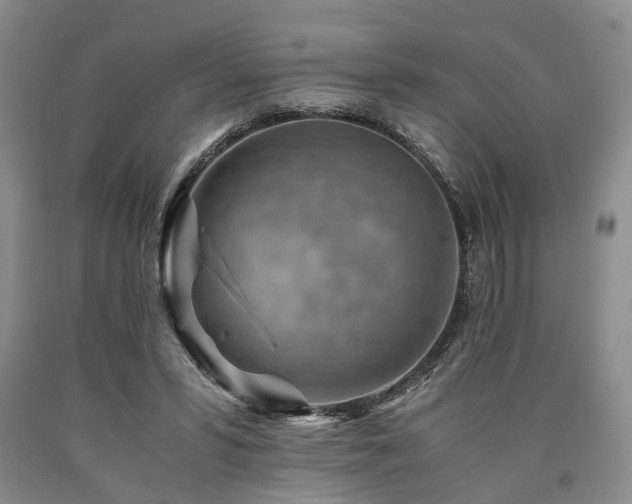 X0000090880399200707271316