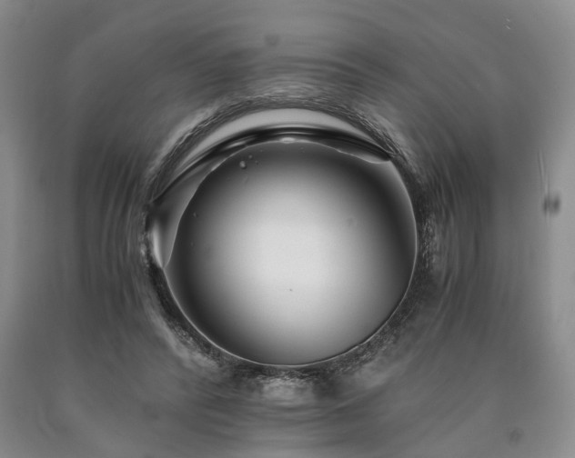 X0000090880400200707271316