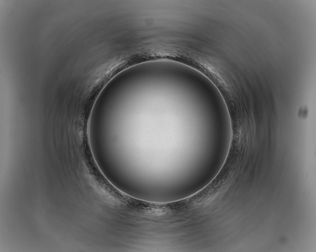 X0000090880402200707271315