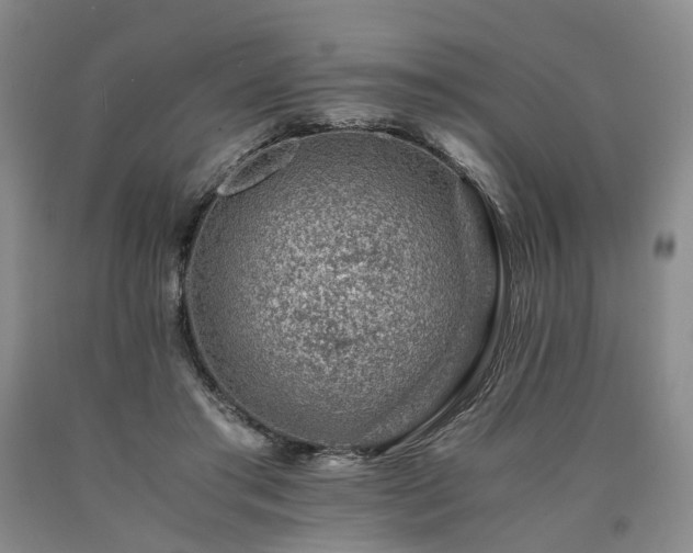 X0000090880405200707271315