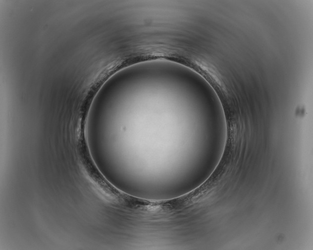 X0000090880406200707271315