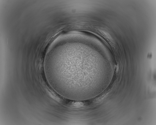 X0000090880409200707271315