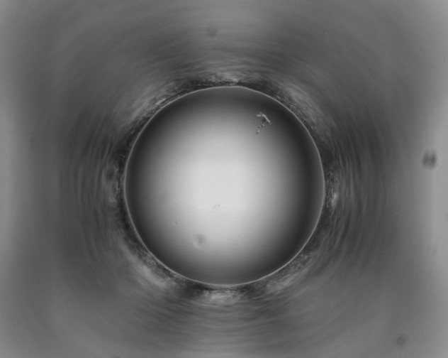 X0000090880414200707271315