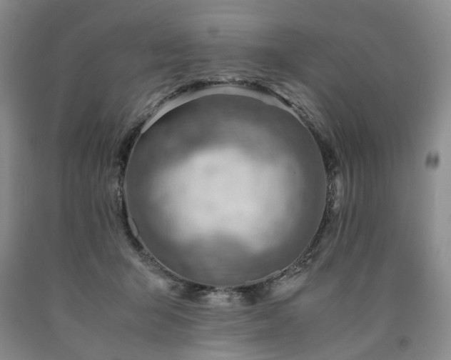 X0000090880415200707271315