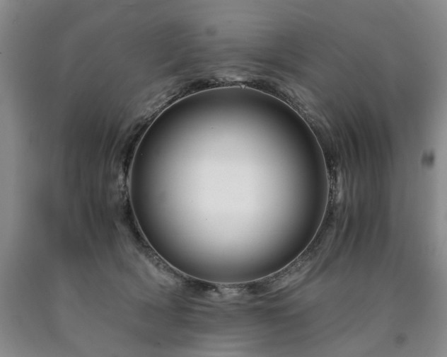 X0000090880418200707271315