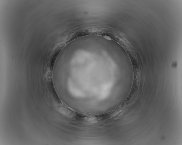 X0000090880419200707271315