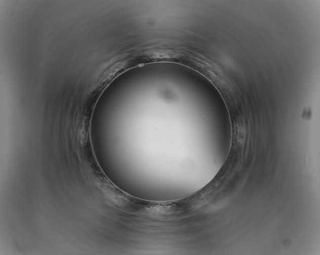 X0000090880422200707271315
