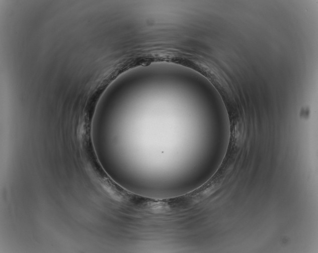 X0000090880424200707271315