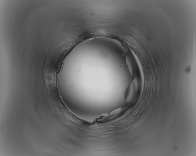 X0000090880425200707271315