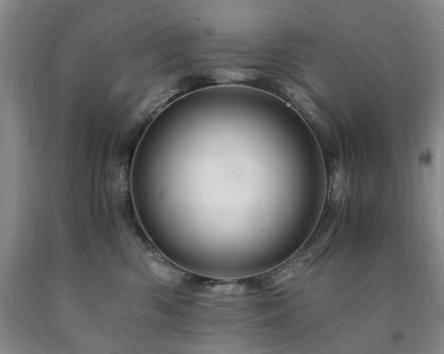 X0000090880426200707271315