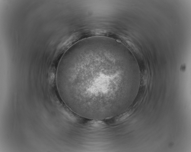 X0000090880427200707271315