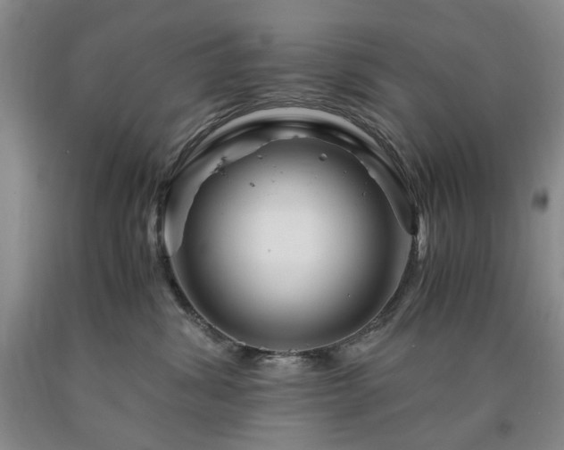 X0000090880428200707271315