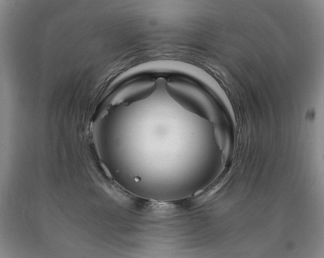 X0000090880429200707271315