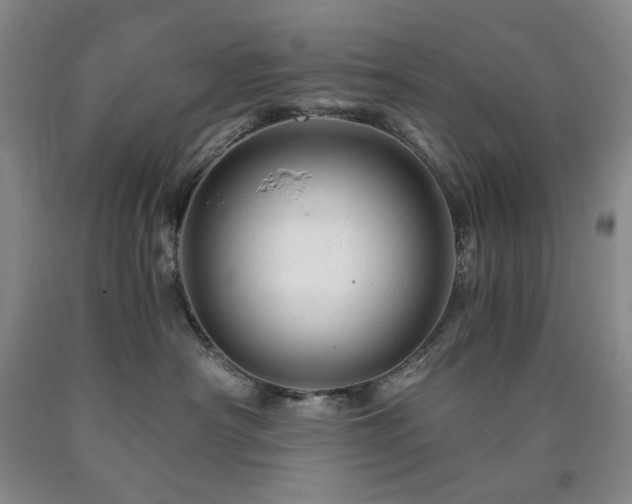 X0000090880430200707271315