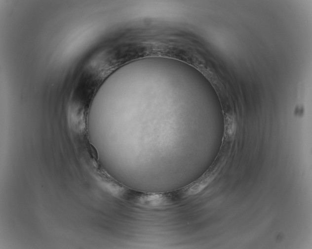 X0000090880431200707271315