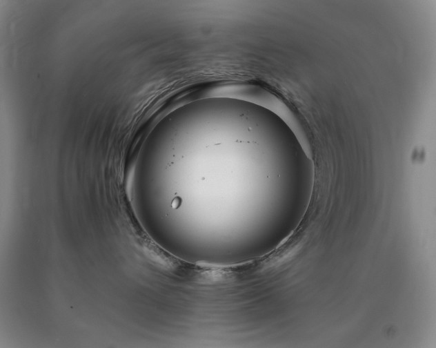 X0000090880432200707271315