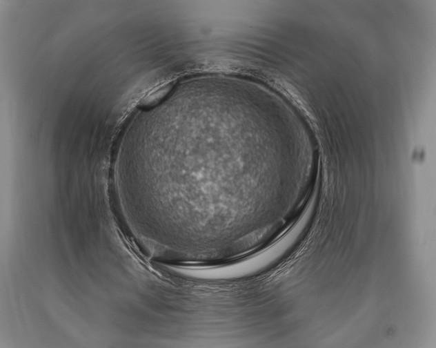 X0000090880434200707271314