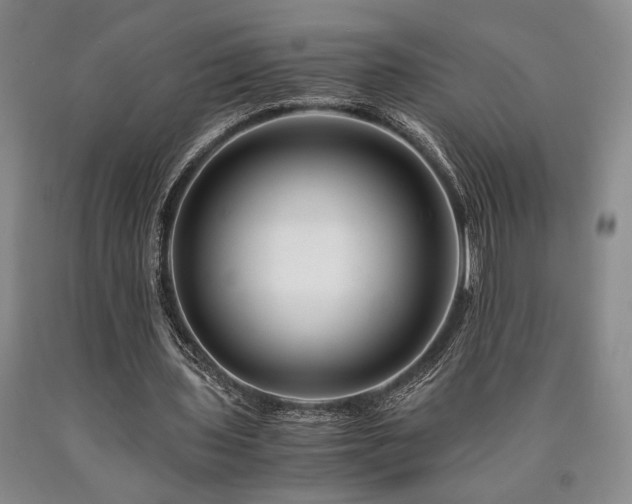 X0000090880435200707271314